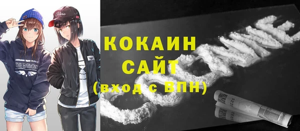 МДПВ Снежногорск
