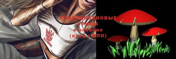 гидропоника Слюдянка