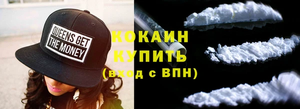 МДПВ Снежногорск