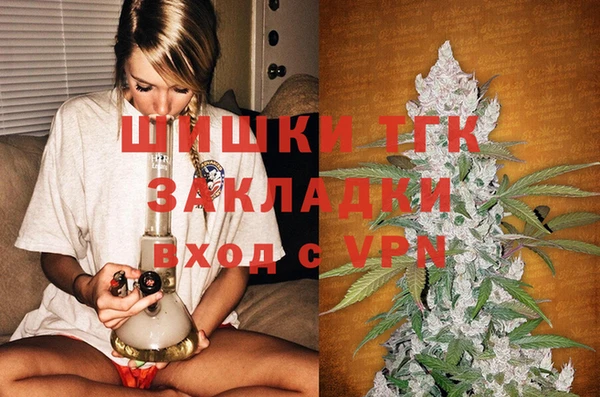 МДПВ Снежногорск