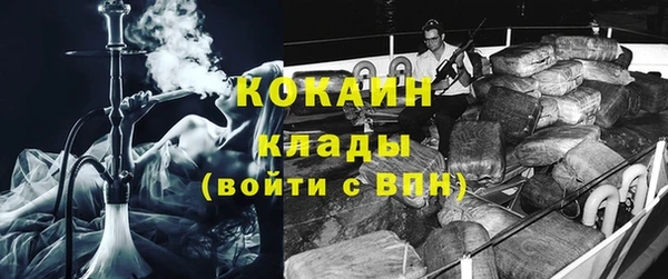 МДПВ Снежногорск