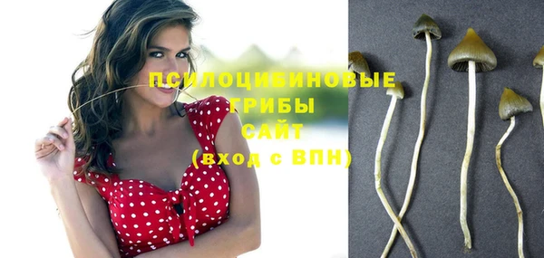 гидропоника Слюдянка